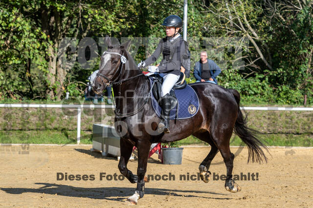 RFV Dinslaken-Hiesfeld (Herbstturnier)