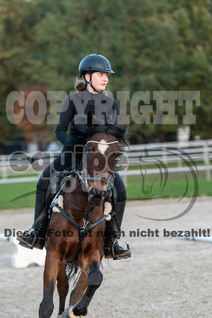 IGV Lehrgang der Sieger der Cups mit Frank Ostholt