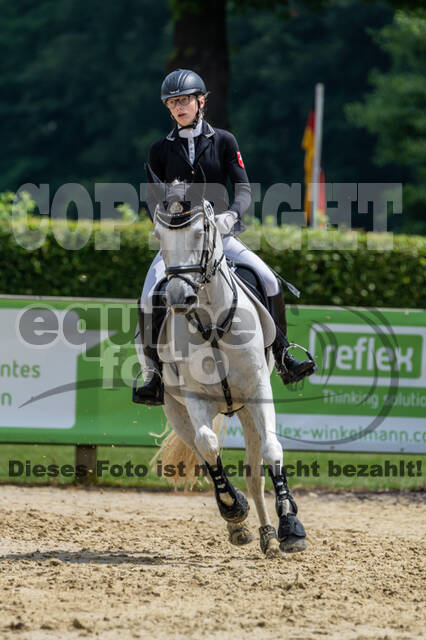 Goldene Schärpe 2021 - Ponys