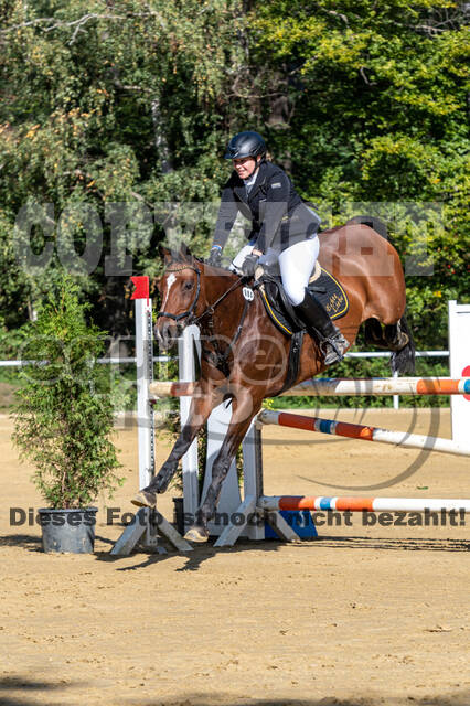 RFV Dinslaken-Hiesfeld (Herbstturnier)