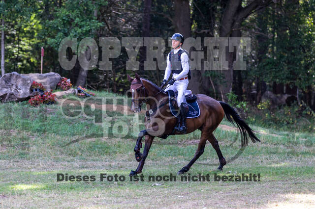 Late-Entry Vielseitigkeit Hamminkeln/Wesel (01.+02.08.2020)