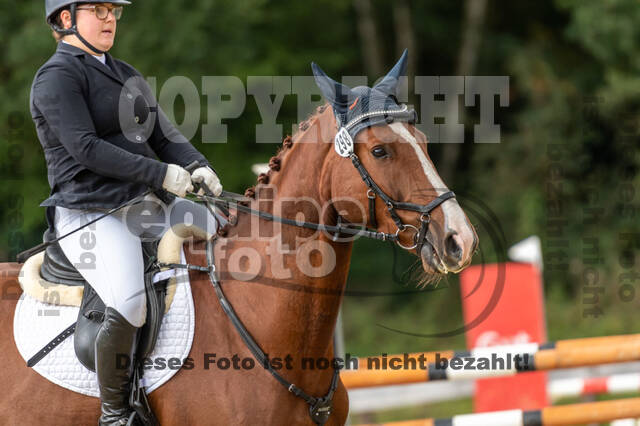 Vielseitigkeit RSV Wesel Obrighoven (26.+27.09.2020)