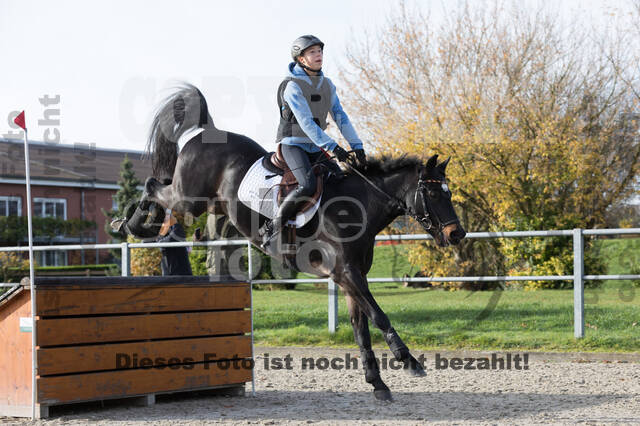 IGV Lehrgang der Sieger der Cups mit Frank Ostholt