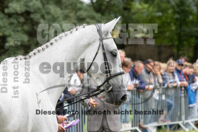 FEI European Championship Eventing 2017