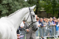 FEI European Championship Eventing 2017