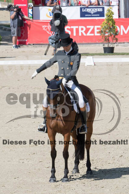FEI European Championship Eventing 2017