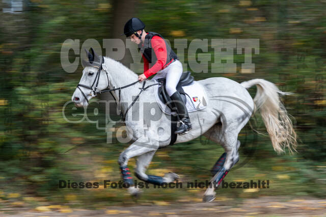 Goldene Schärpe 2020 - Pferde