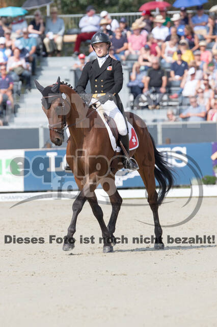 FEI European Championship Eventing 2019