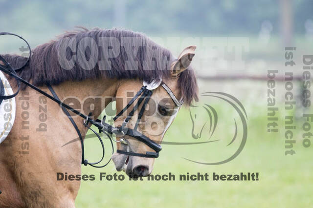 Vielseitigkeitsturnier ZRFV von Lützow Hamminkeln