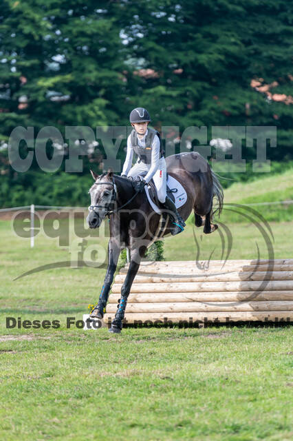 Goldene Schärpe 2021 - Ponys