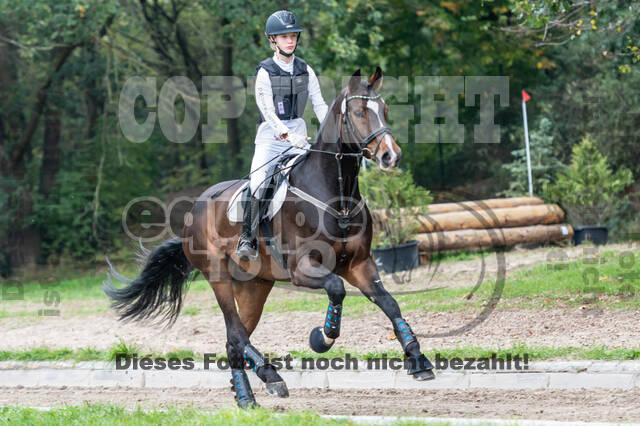 Goldene Schärpe 2020 - Pferde