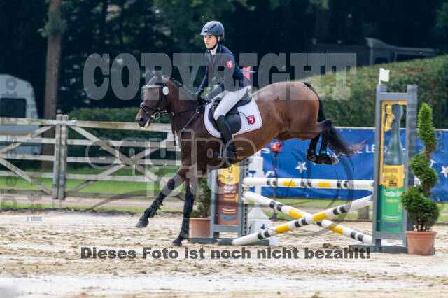Goldene Schärpe 2021 - Ponys