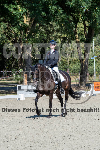 Kronenberg - De Peelbergen (August 2020)