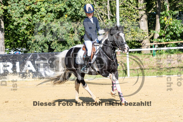 RFV Dinslaken-Hiesfeld (Herbstturnier)