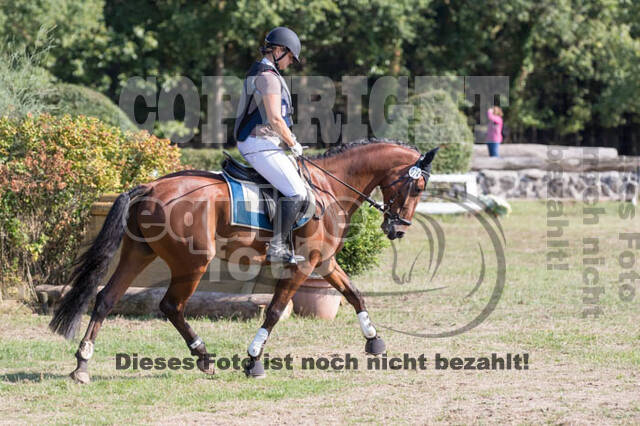 Vielseitigkeitsturnier RSV St. Hubertus Wesel Obrighoven