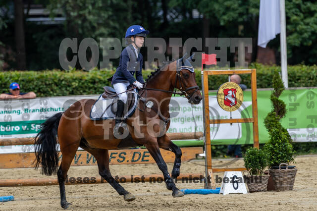 Goldene Schärpe 2021 - Ponys