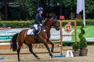 Goldene Schärpe 2021 - Ponys