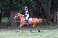 Late-Entry Vielseitigkeit Hamminkeln/Wesel (01.+02.08.2020)