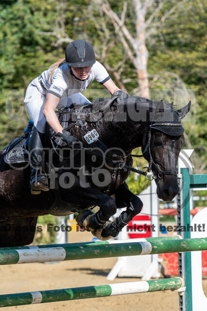 RFV Dinslaken-Hiesfeld (Herbstturnier)