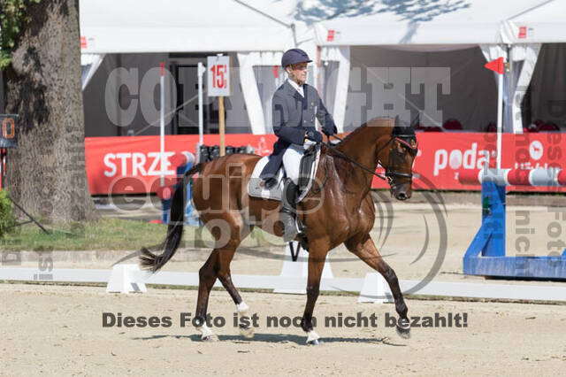 FEI European Championship Eventing 2017