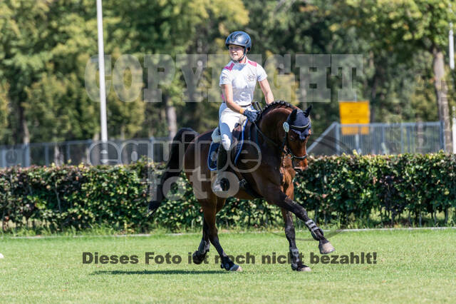 Kronenberg - De Peelbergen (August 2020)