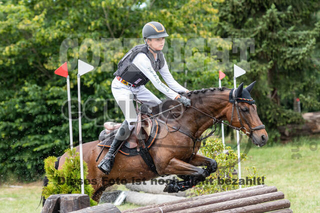 Late-Entry-Vielseitigkeit Langenfeld (11.+13./14.06.2020)