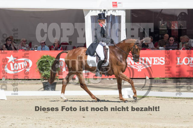 FEI European Championship Eventing 2017