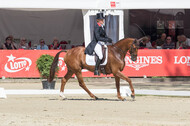 FEI European Championship Eventing 2017