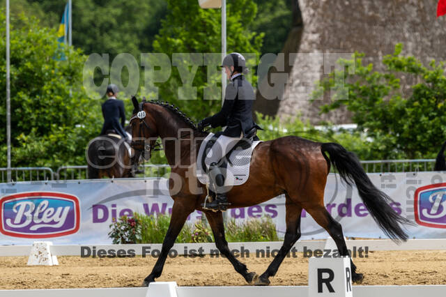 Westerstede Horse Trials 2021