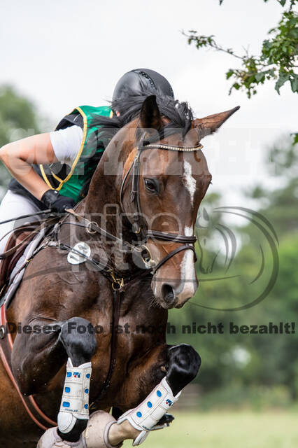 Late-Entry-Vielseitigkeit Gahlen (18.07.2020)