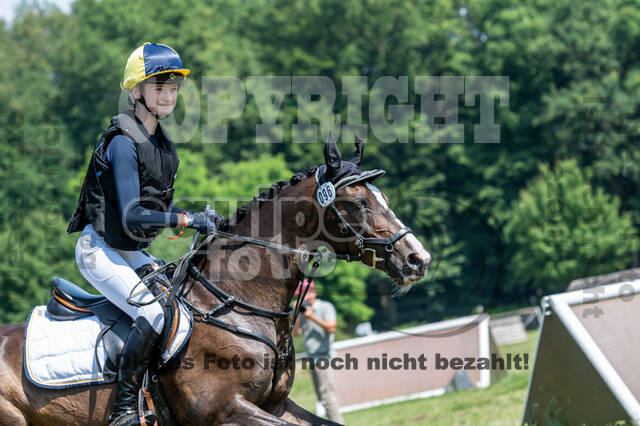 Goldene Schärpe 2021 - Ponys