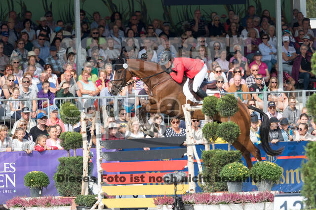 FEI European Championship Eventing 2019
