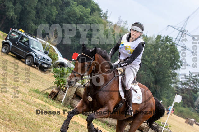 Late-Entry Vielseitigkeit Hamminkeln/Wesel (01.+02.08.2020)