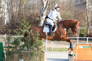 Eventing Langenfeld