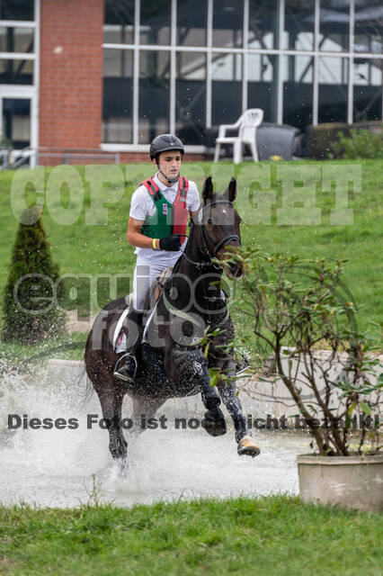 Goldene Schärpe 2020 - Pferde