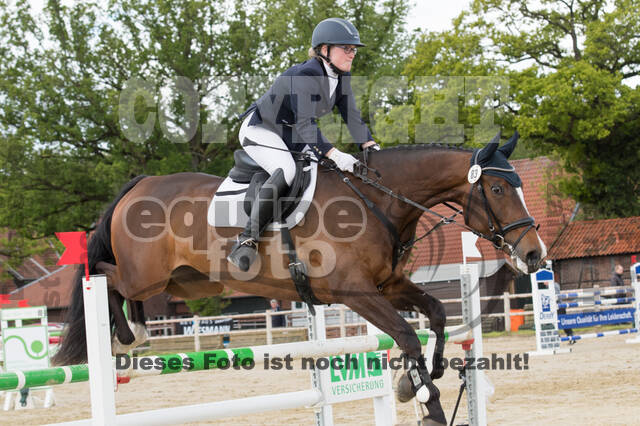 Sterne über Münster 2019 - CCI***S