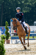 Goldene Schärpe 2021 - Ponys