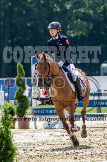Goldene Schärpe 2021 - Ponys