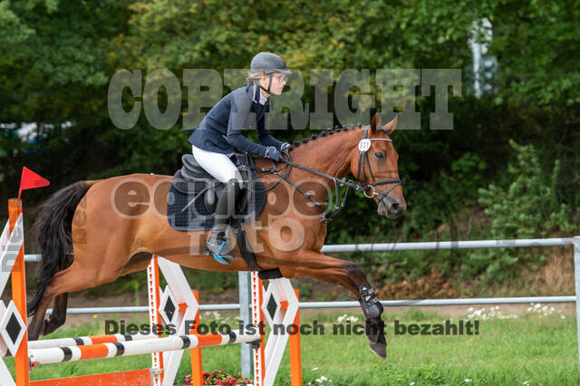 Late-Entry-Vielseitigkeit Langenfeld (06.+07.07.2020)