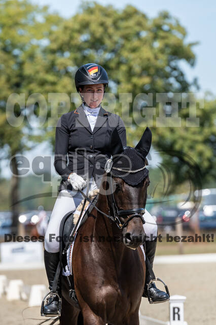 Kronenberg - De Peelbergen (August 2020)