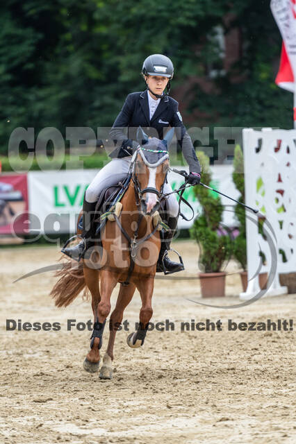 Goldene Schärpe 2021 - Ponys