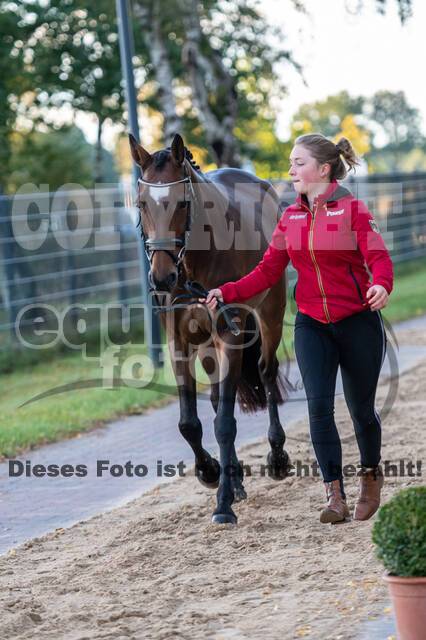 Deutsche Meisterschaft Vielseitigkeit (Luhmühlen)