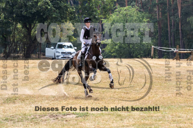 Late-Entry Vielseitigkeit Hamminkeln/Wesel (01.+02.08.2020)