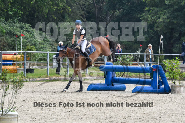 Late-Entry-Vielseitigkeit Langenfeld (11.+13./14.06.2020)