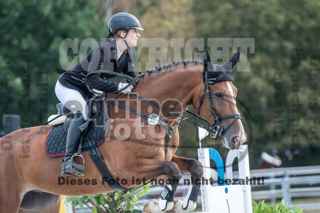 Landesturnier Rheinland, Vielseitigkeit, 22.+23.08.2020