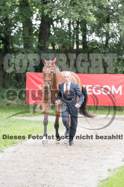 FEI European Championship Eventing 2017