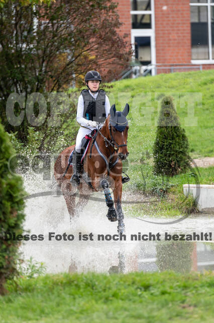 Goldene Schärpe 2020 - Pferde