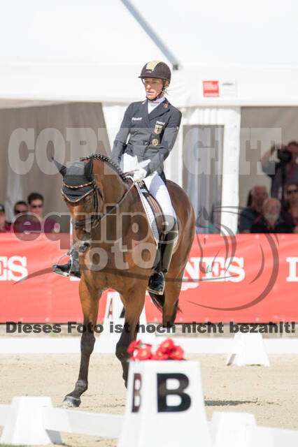 FEI European Championship Eventing 2017