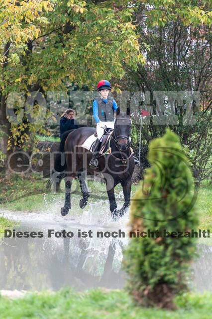 Goldene Schärpe 2020 - Pferde