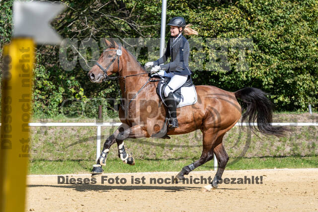 RFV Dinslaken-Hiesfeld (Herbstturnier)